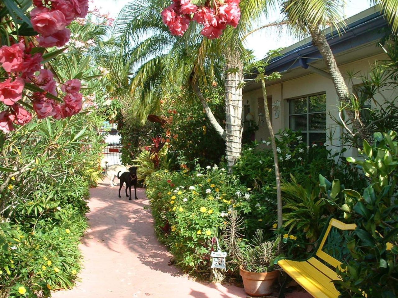 Affordable Beach Condos - One Bedroom Dlx Condos St. Pete Beach Esterno foto