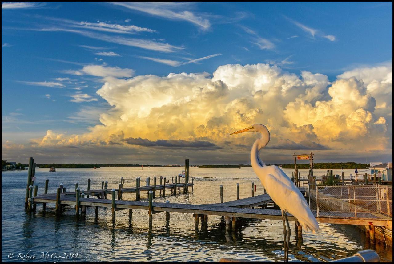 Affordable Beach Condos - One Bedroom Dlx Condos St. Pete Beach Esterno foto